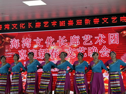 海灣文化長廊藝術團舉辦“喜迎新春”文藝晚會，共繪文化藝術交流新畫卷